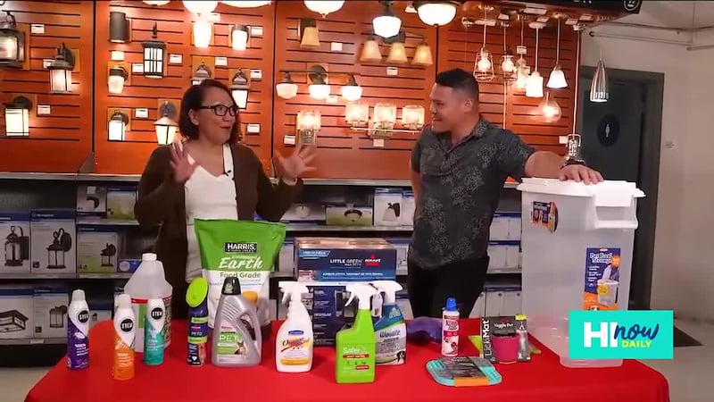 Home sweet home for pets: Safe cleaning, gardening, and DIY tips