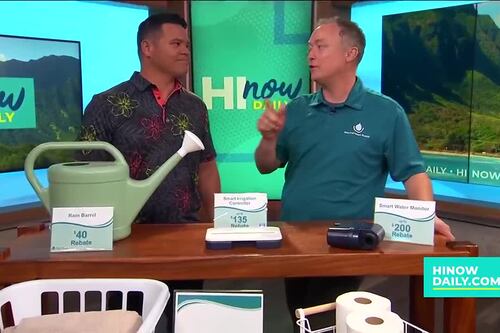 Save money on your water bill with the Board of Water Supply’s Water Sensible Program