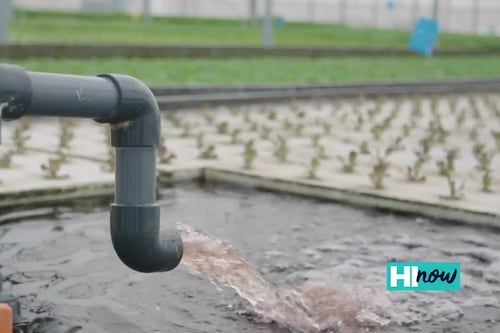 Water Wisdom Wednesday: Recycled water plays a key role in water conservation