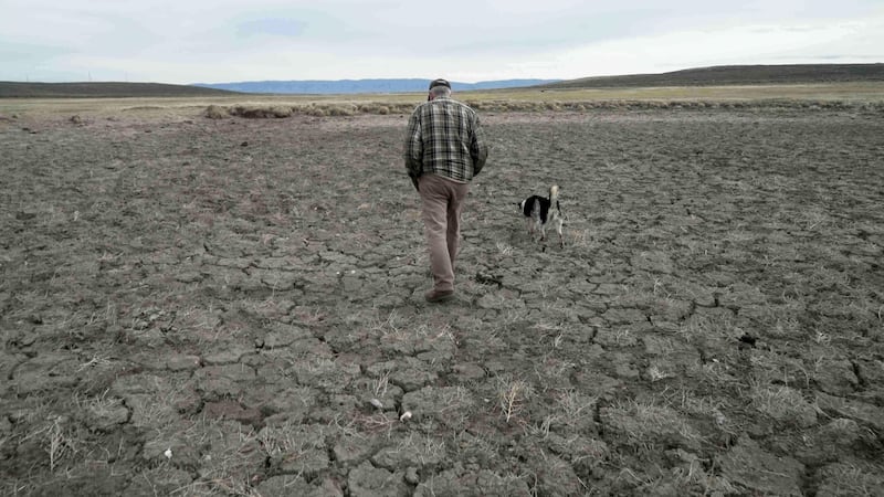 ARCHIVO - Philip Anderson camina sobre una poza seca para ganado, el 31 de marzo de 2026, en...
