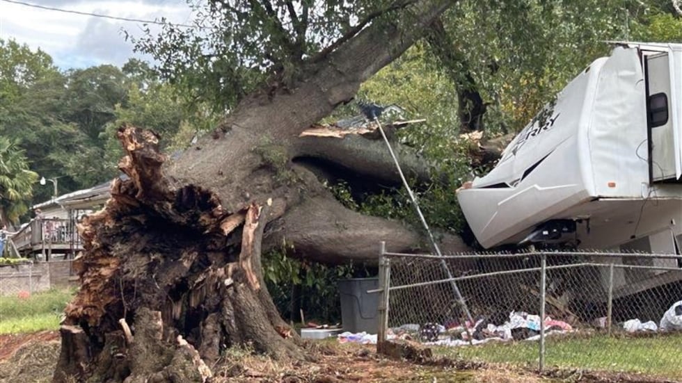 Tree falls on trailer in Greenville County