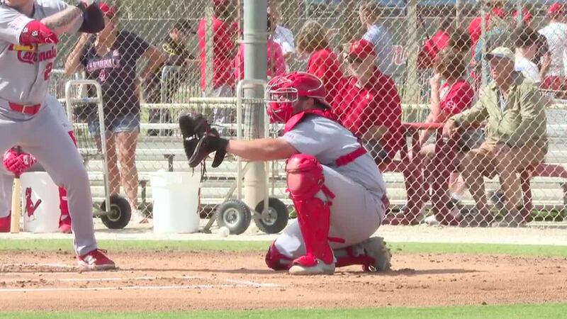 Cardinals catcher Pedro Pages talks about what he sees in the young clubhouse and what he...