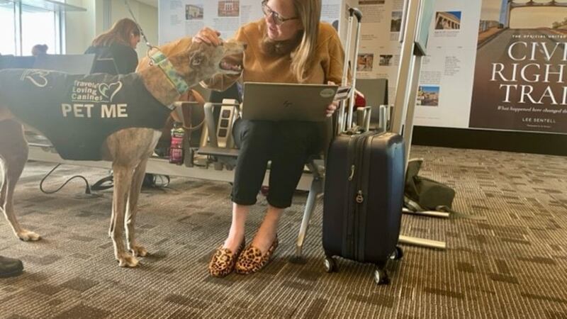 Therapy dogs bringing comfort to travelers at Birmingham-Shuttlesworth airport