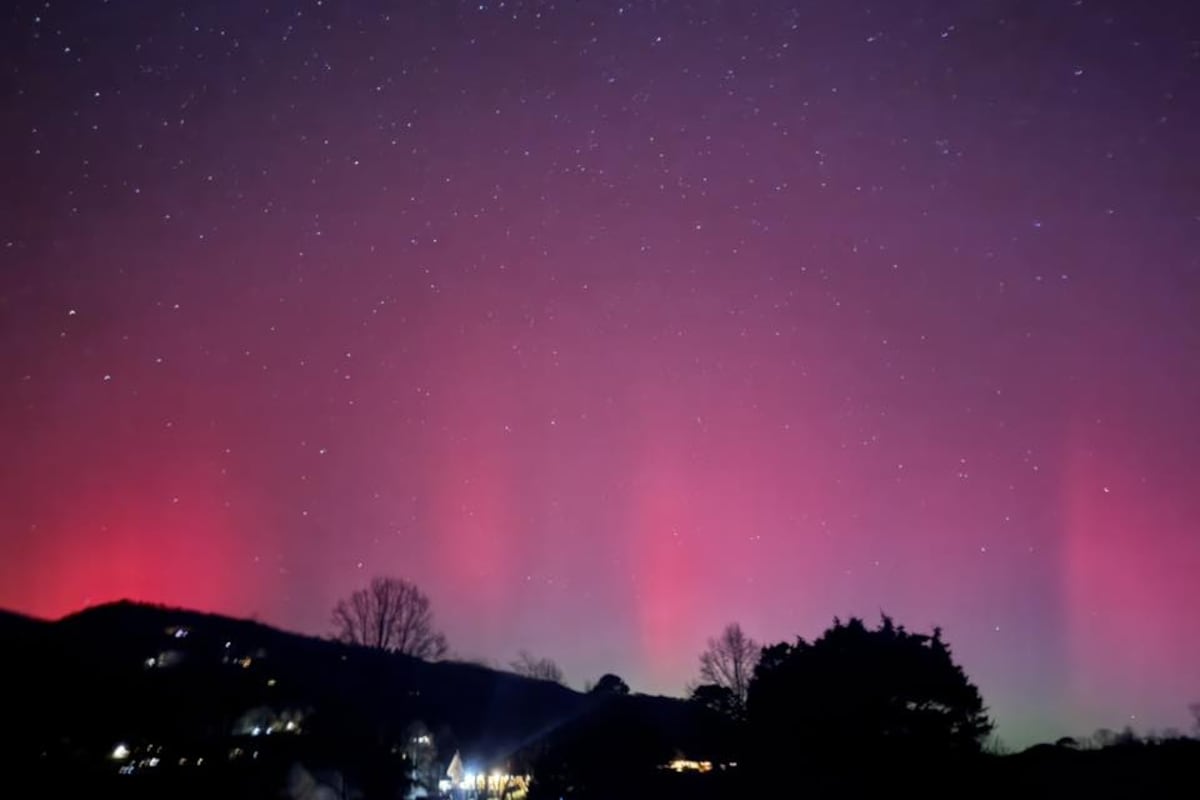 preloaded gallery image