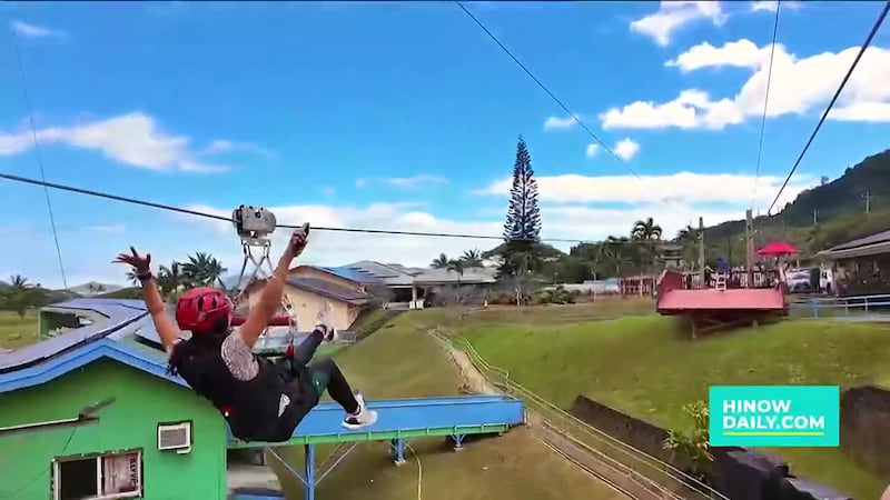 American Savings Bank wants you to Buy Local & Save Local with Bay View Mini-Putt and Zipline