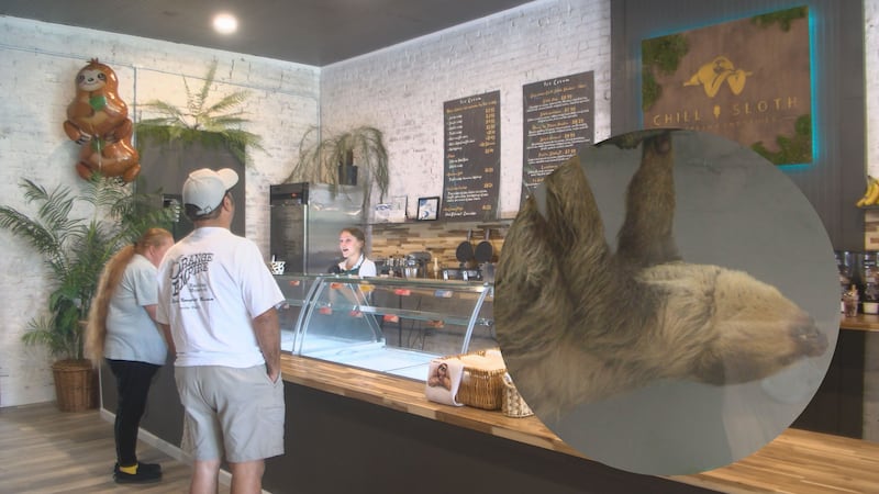 In Downtown Wiggins sits Chill Sloth, an ice cream shop with an up-close-and-personal...