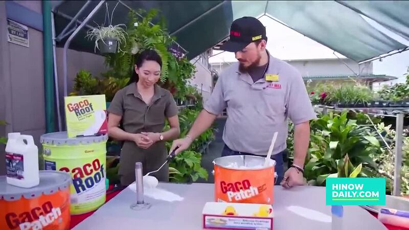 Roof repairs made easy with Gaco Products