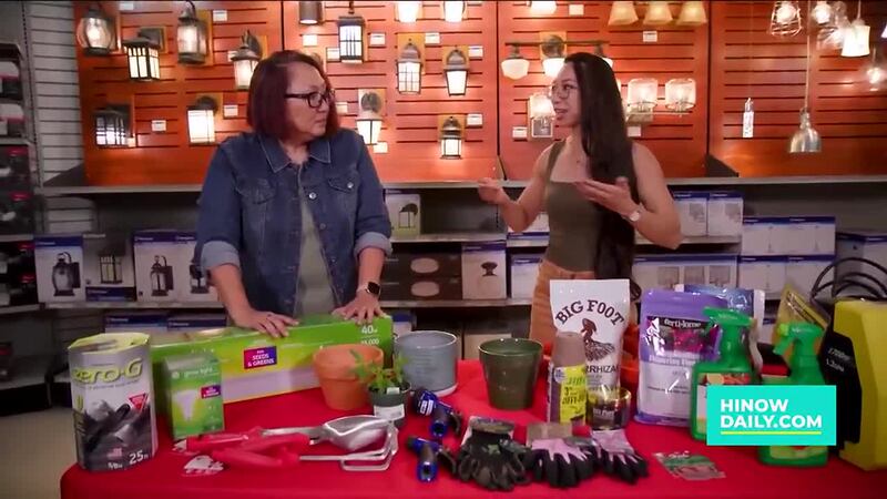 Gardening tips to refresh your outdoor space