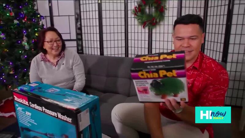 Holidays with City Mill — Trees, décor, gifts & easy entertaining