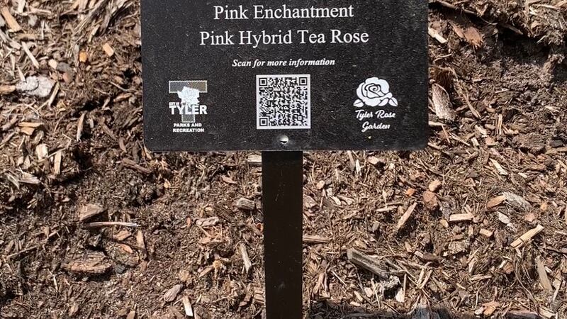 There's a new program at the Tyler Rose Garden to help visitors identify varieties of roses...