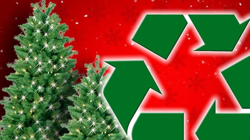 LIST: Recycle Christmas trees instead of throwing them away