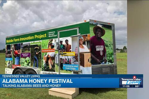 Learning about bees and beyond at Alabama Honey Festival
