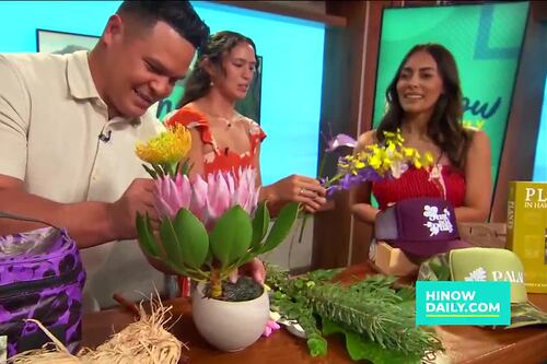 Things to do this weekend: Valentine’s Day edition (February 13–15, 2026)