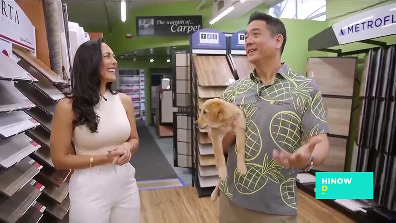 American Savings Bank wants you to Buy Local & Save Local with Abbey Carpet & Floor