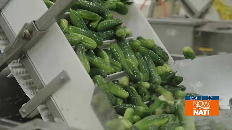 Videographer Larry Deal explores a local pickle company that is quite a big “dill”.