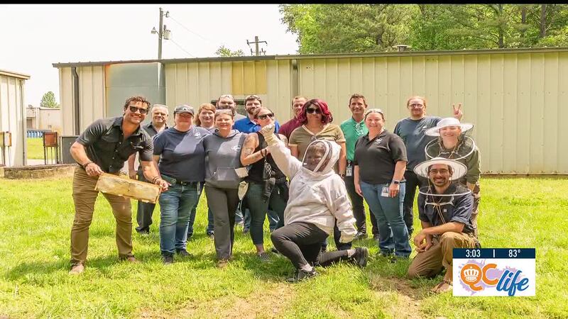 Buddha Bee Apiary’s host a hive service makes it easy for Charlotte residents to support...