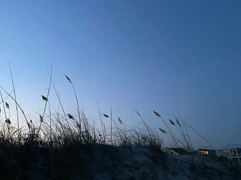 Dunes at Ocean Isle Beach.