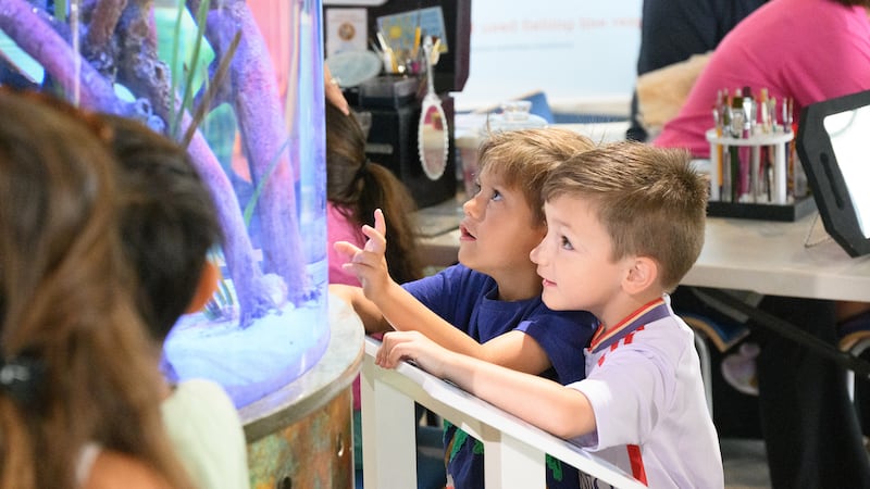 Manatee Lagoon to host Mia’s Summer Shell-A-Bration in West Palm Beach