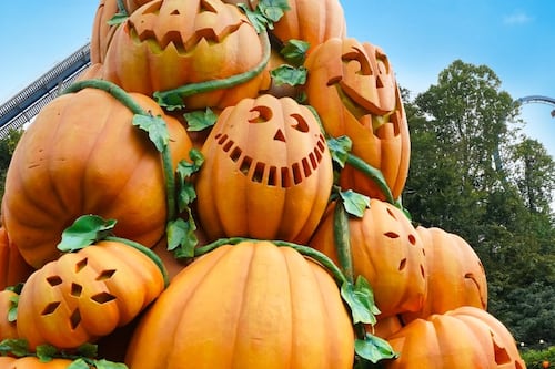 Fall has arrived at Dollywood’s Harvest Festival