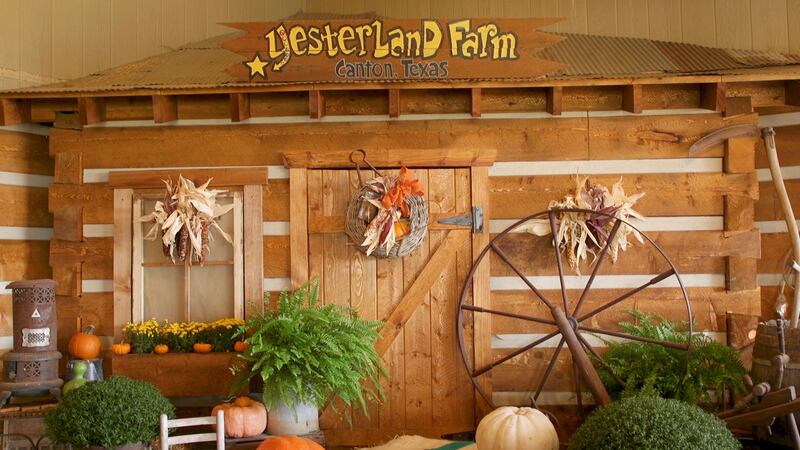 It’s time for the Fall Festival at Yesterland Farm