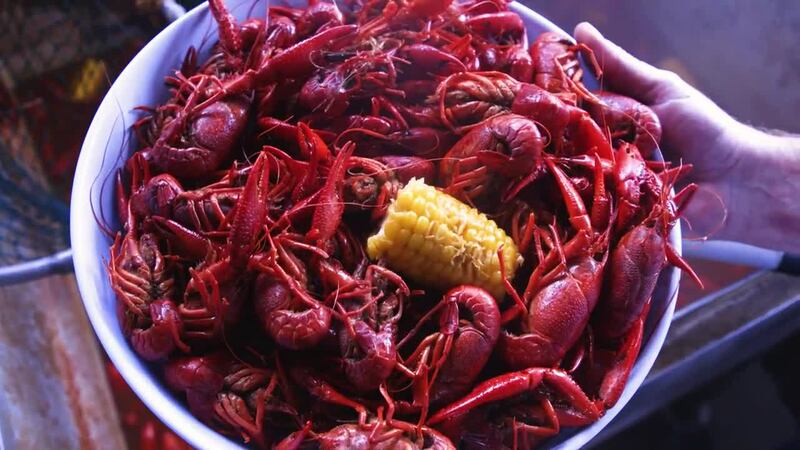 The Blind Tiger Bay St. Louis has great water views, drinks, steamed seafood, burgers, and THE...