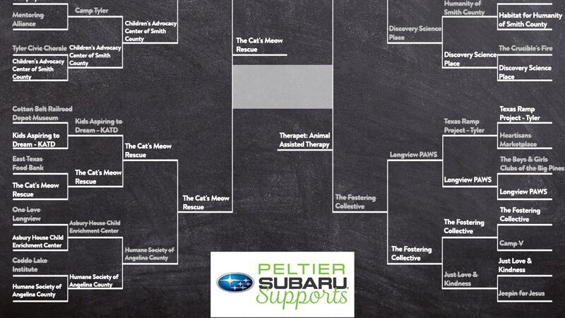 Cast your vote to declare the champion!