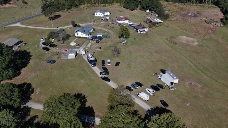Deputies said they responded to two locations near Grey and Cobb roads.