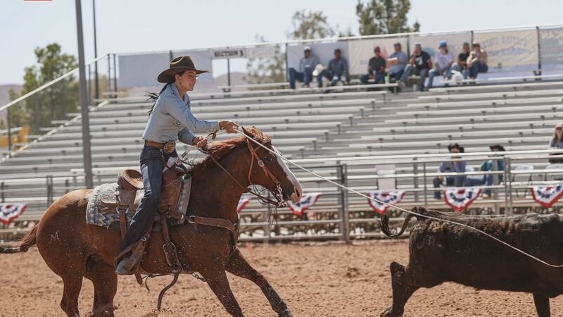 Summer Williams is quickly roping her way up the ladder of professional rodeo.