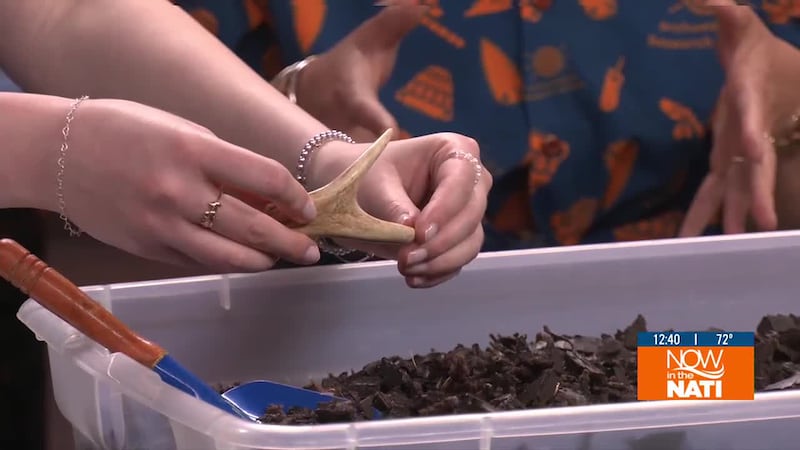 Dig into your imagination with the activities offered for kids and adults at The...