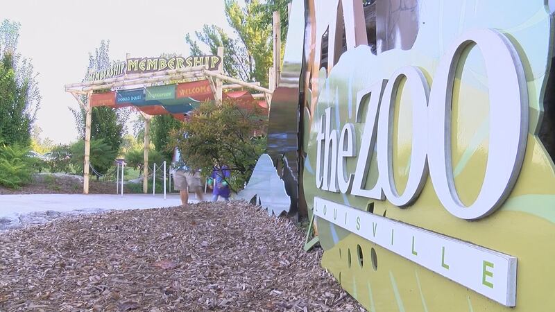 Louisville Zoo begins wild workout series