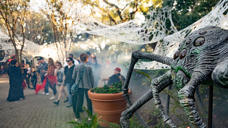 New Orleans City Park officials already announced plans to bring back two of its popular...