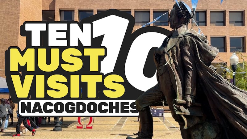 Check out some of our favorites!