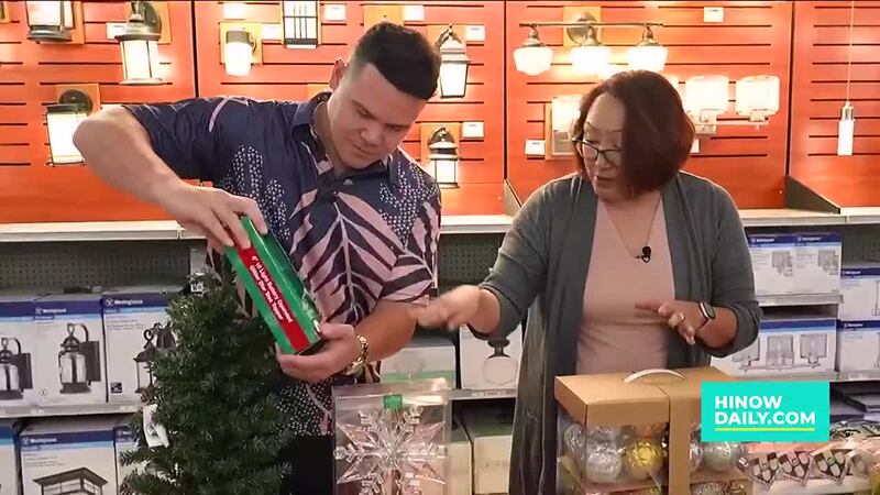 One-stop shop for affordable, high-quality holiday decorations and tree-decorating tips