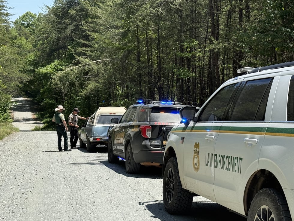 Arrestan a 25 inmigrantes durante operativo en zona boscosa de Georgia.