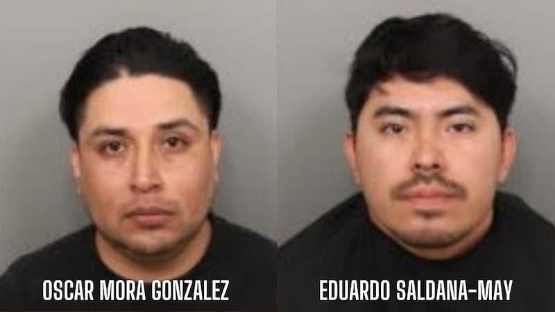 Oscar Mora Gonzalez and Eduardo Saldana-May