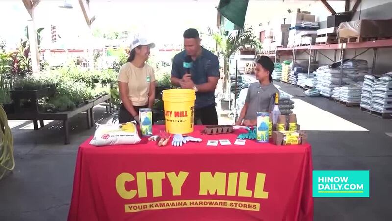 Family gardening fun with City Mill