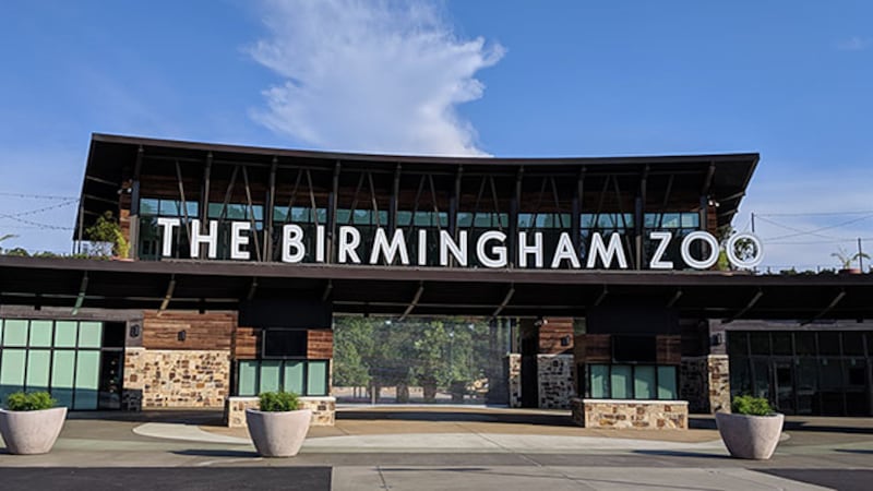 Zoo Brews returns to Birmingham Zoo