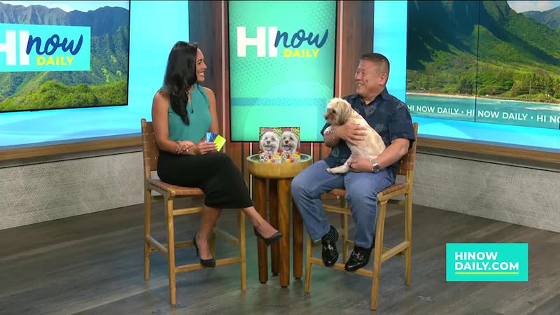 American Savings Bank wants you to Buy Local & Save Local with Enchanted Lake Pet