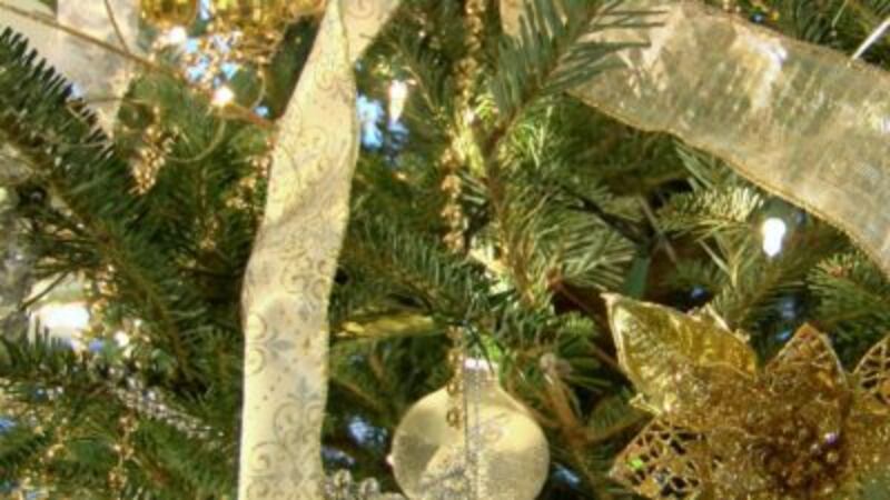 Get the most out of your living Christmas tree.