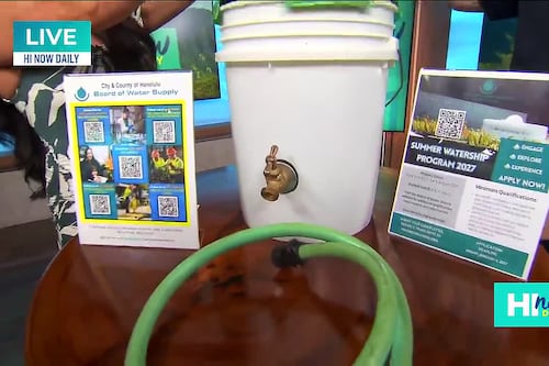 Board of Water Supply: Free Waianae Family Event and City Jobs