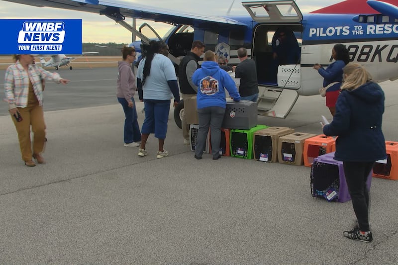 Georgetown shelter pets have high hopes of taking off to ‘paw-sible’ new home