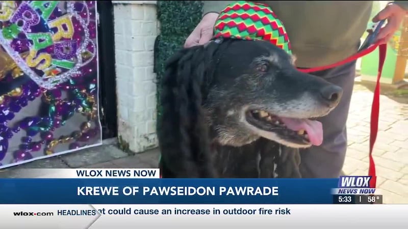 The third annual Krewe of PAWseidon parade rolled through Bay St. Louis this afternoon.