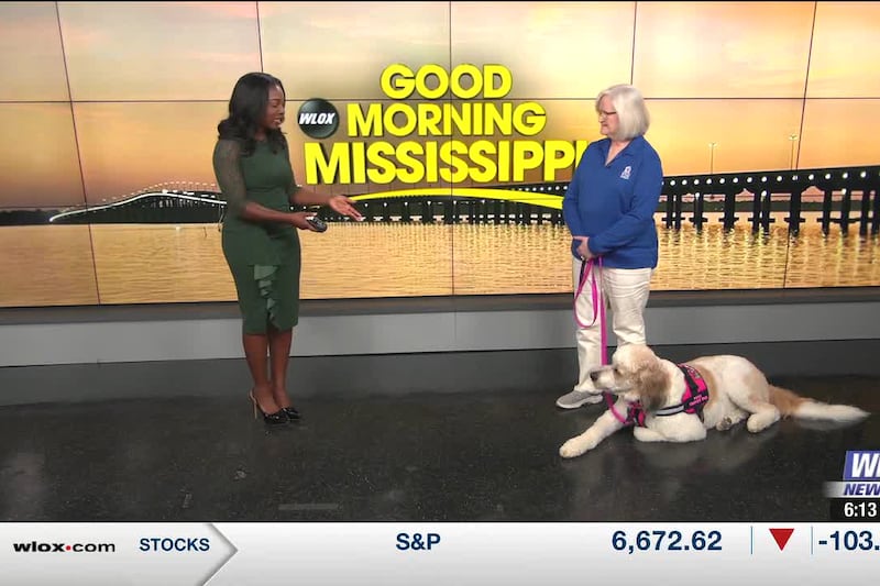 Festival invites pets to train as therapy teams