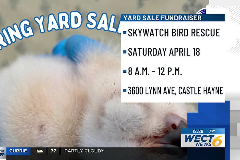 SkyWatch Bird Rescue hosting first yard sale fundraiser of 2026