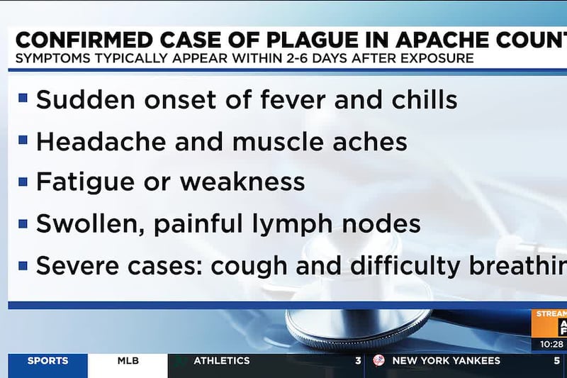 Confirmed case of plague in Apache County