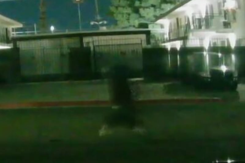 VIDEO: Las Vegas man shares safety concerns after bullet shot through his apartment