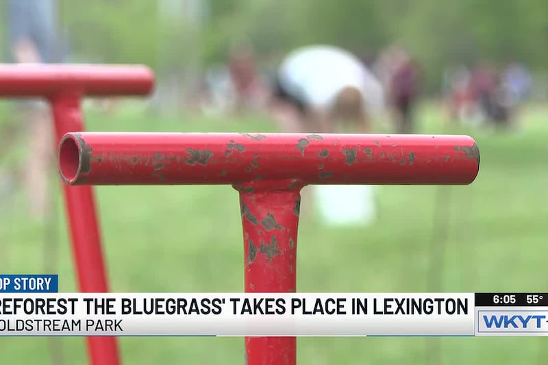 Community trees take root in Lexington