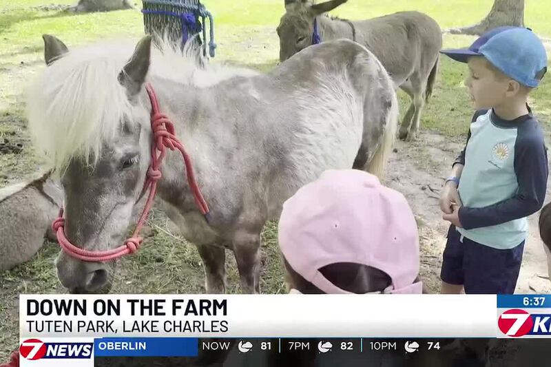 City hosts petting zoo at Tuten Park