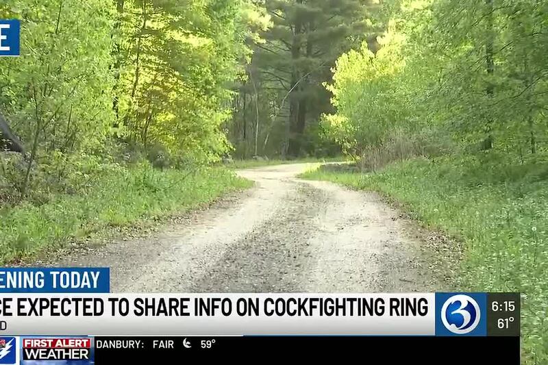 VIDEO: Police to share more info on Tolland cockfighting ring