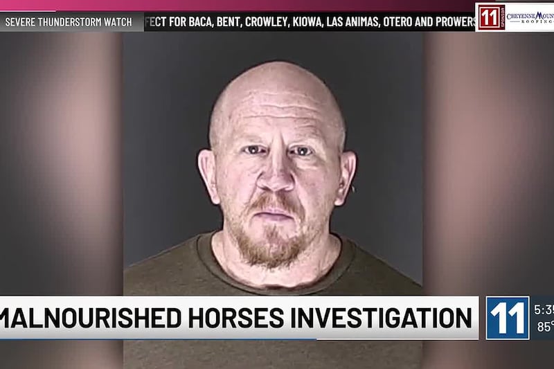 Southern Colorado horse rescue reacts to cases of animal cruelty